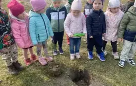 Sadzimy drzewka w naszym ogrodzie przedszkolnym 24
