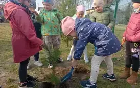 Sadzimy drzewka w naszym ogrodzie przedszkolnym 27