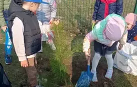 Sadzimy drzewka w naszym ogrodzie przedszkolnym 28