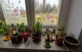 Poznajemy pierwsze oznaki wiosny - Oddział Motyle 5