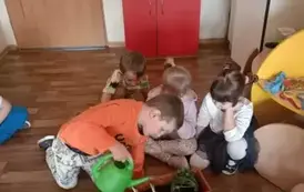  Kącik zieleni w Nutkach. 4
