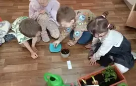  Kącik zieleni w Nutkach. 8
