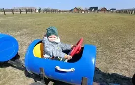 Wycieczka do zagrody w Zakrzewie - oddział III Motyle  4