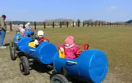 Wycieczka do zagrody w Zakrzewie - oddział III Motyle  15