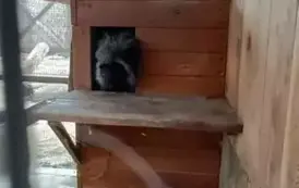 Wycieczka do zagrody w Zakrzewie - oddział III Motyle  36
