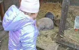 Wycieczka do zagrody w Zakrzewie - oddział III Motyle  43