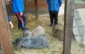 Wycieczka do zagrody w Zakrzewie - oddział III Motyle  54