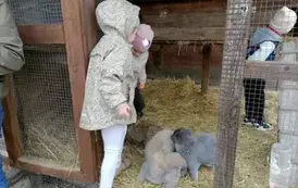 Wycieczka do zagrody w Zakrzewie - oddział III Motyle  56
