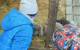 Wycieczka do zagrody w Zakrzewie - oddział III Motyle  59