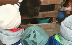 Wycieczka do zagrody w Zakrzewie - oddział III Motyle  68