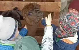 Wycieczka do zagrody w Zakrzewie - oddział III Motyle  74