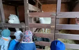 Wycieczka do zagrody w Zakrzewie - oddział III Motyle  91