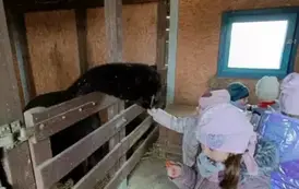 Wycieczka do zagrody w Zakrzewie - oddział III Motyle  94
