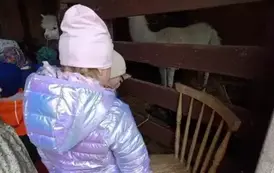 Wycieczka do zagrody w Zakrzewie - oddział III Motyle  102