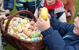 Wycieczka do zagrody w Zakrzewie - oddział III Motyle  114