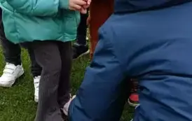 Wycieczka do zagrody w Zakrzewie - oddział III Motyle  119