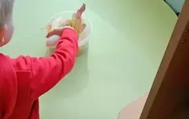 Wiosna na wsi - oddział III Motyle 121