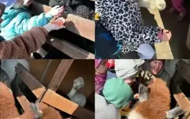 Zagroda w Zakrzewie- Wycieczka Oddział II Biedronki  17