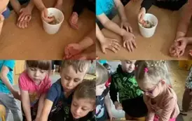 20 krok&oacute;w do Lata- Oddział II Biedronki  14