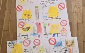 Kolorowy potw&oacute;r - doktor od emocji 7