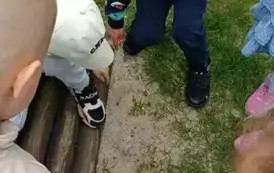 Kreatywna matematyka - Matematyka jest wszędzie 2