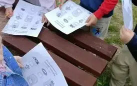Kreatywna matematyka - Matematyka jest wszędzie 4