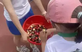 Olimpiada przedszkolak&oacute;w 30