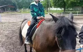 Wycieczka do Nieborowa oddział Motyle i Nutki 13