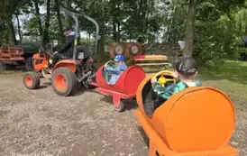 Wycieczka do Nieborowa oddział Motyle i Nutki 19