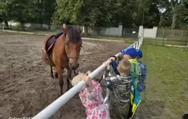 Wycieczka do Nieborowa oddział Motyle i Nutki 23