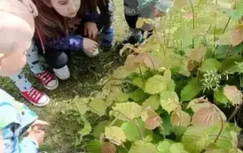 Wycieczka do Nieborowa oddział Motyle i Nutki 71