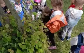 Wycieczka do Nieborowa oddział Motyle i Nutki 72