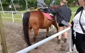 Wycieczka do Nieborowa oddział Motyle i Nutki 73