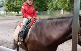 Wycieczka do Nieborowa oddział Motyle i Nutki 79