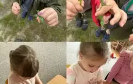 Oddział II Biedronki- 20 krok&oacute;w do lata- projekt edukacyjny  10