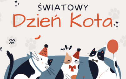 Zdjęcie do Światowy Dzień Kota