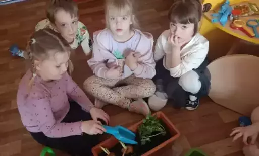 Zdjęcie do Kącik zieleni w Nutkach.