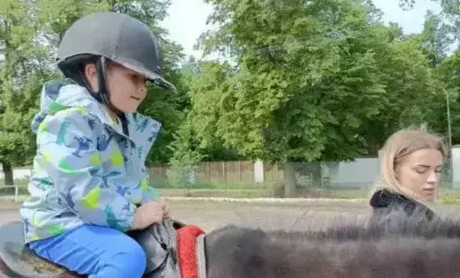 stajnia