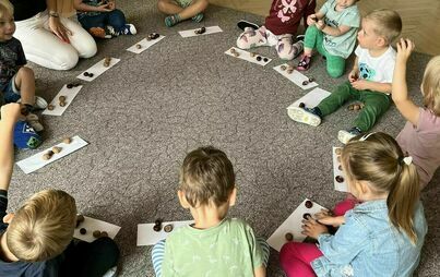 Zdjęcie do Pierwsze oznaki jesieni - zajęcia matematyczne