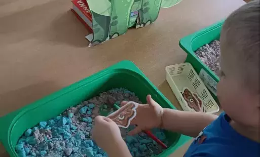 Zdjęcie do Dzień Dinozaura - oddział III Motyle